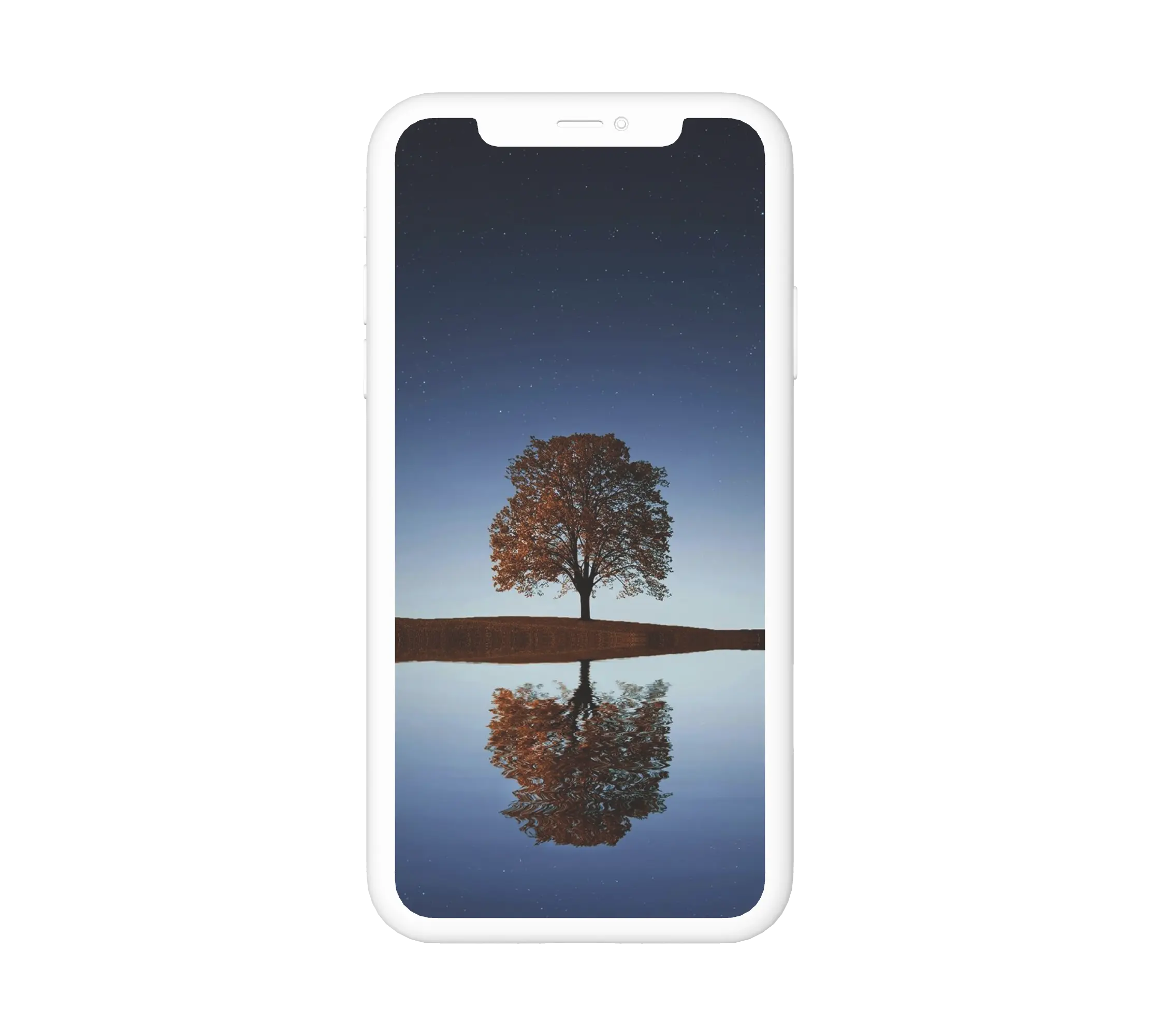 Egy fa víz mellett éjszaka