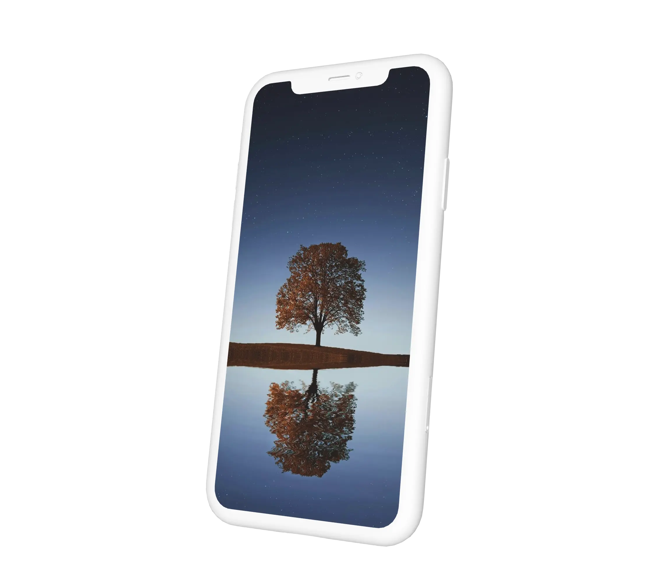 Egy fa víz mellett éjszaka