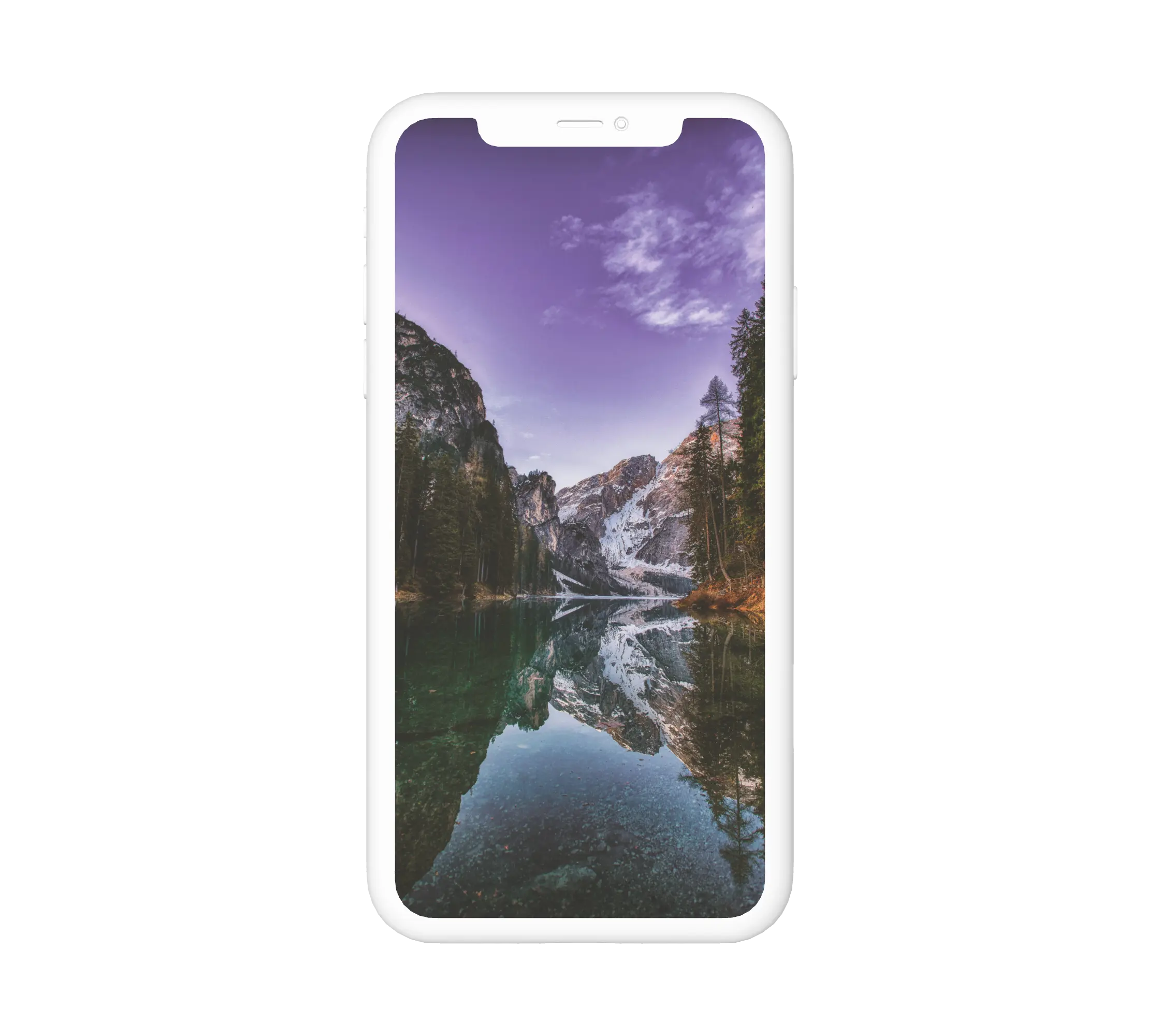 Víz hegy és erdő mellett