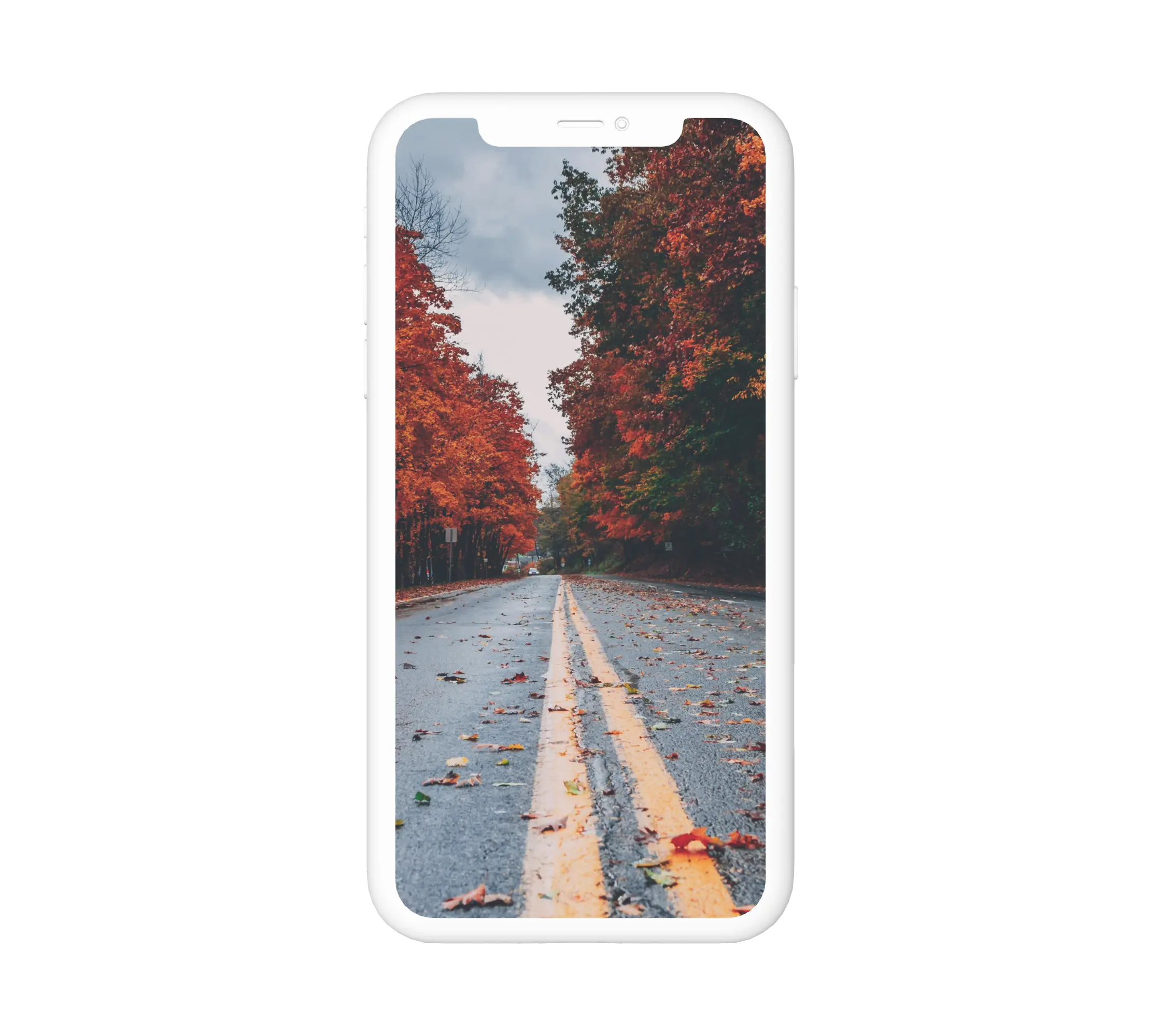 Őszi autóút háttérkép telefonra