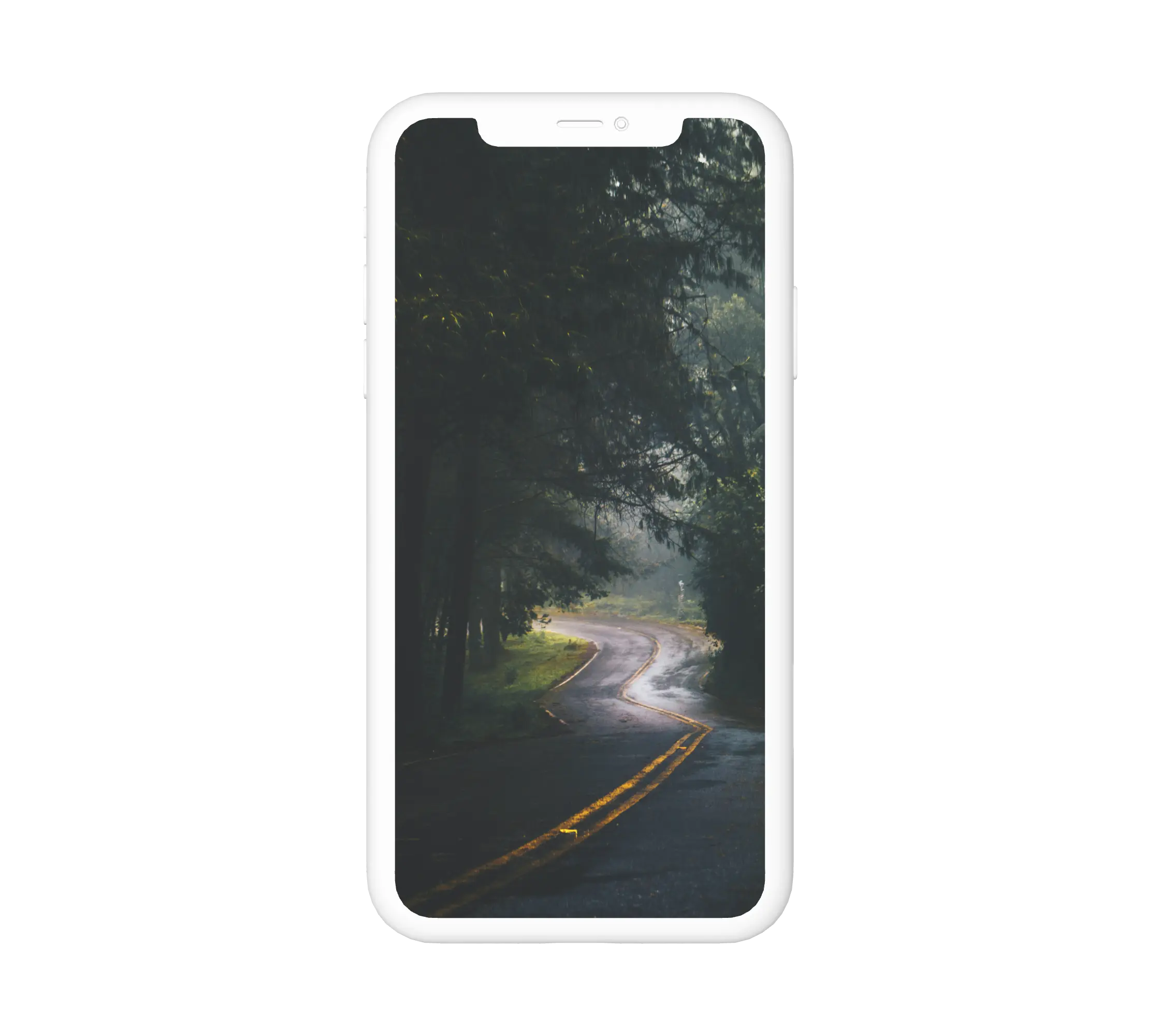 Sötét autóút az erdőben