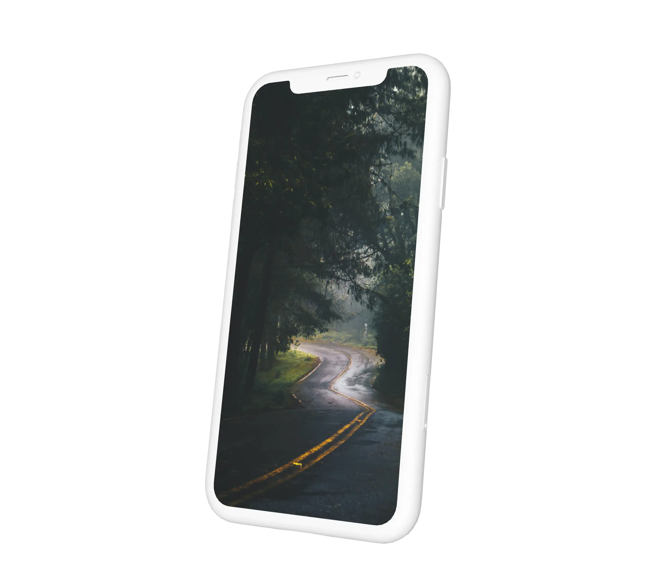 Sötét autóút az erdőben