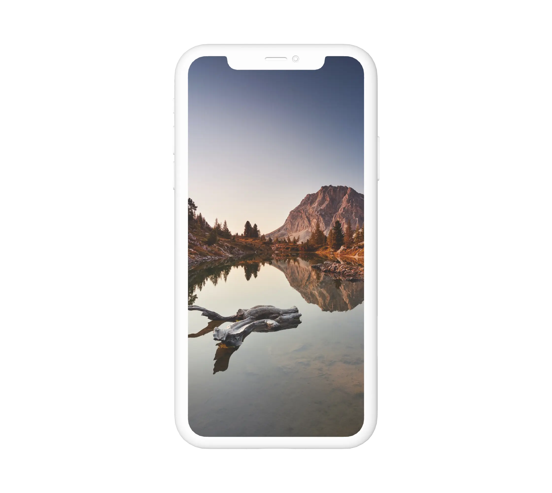 Víz hegy és fák mellett