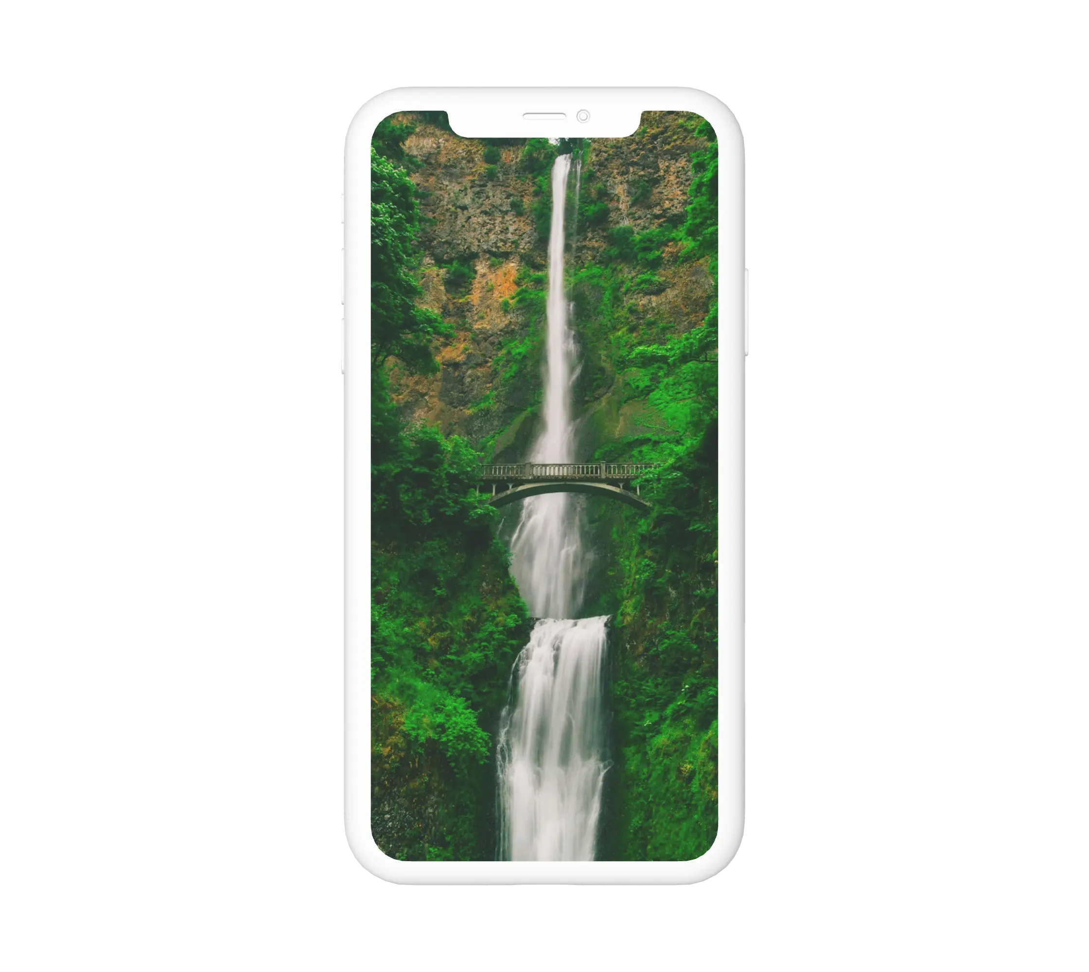 Vízesés az erdőben, egy kis híd mellett