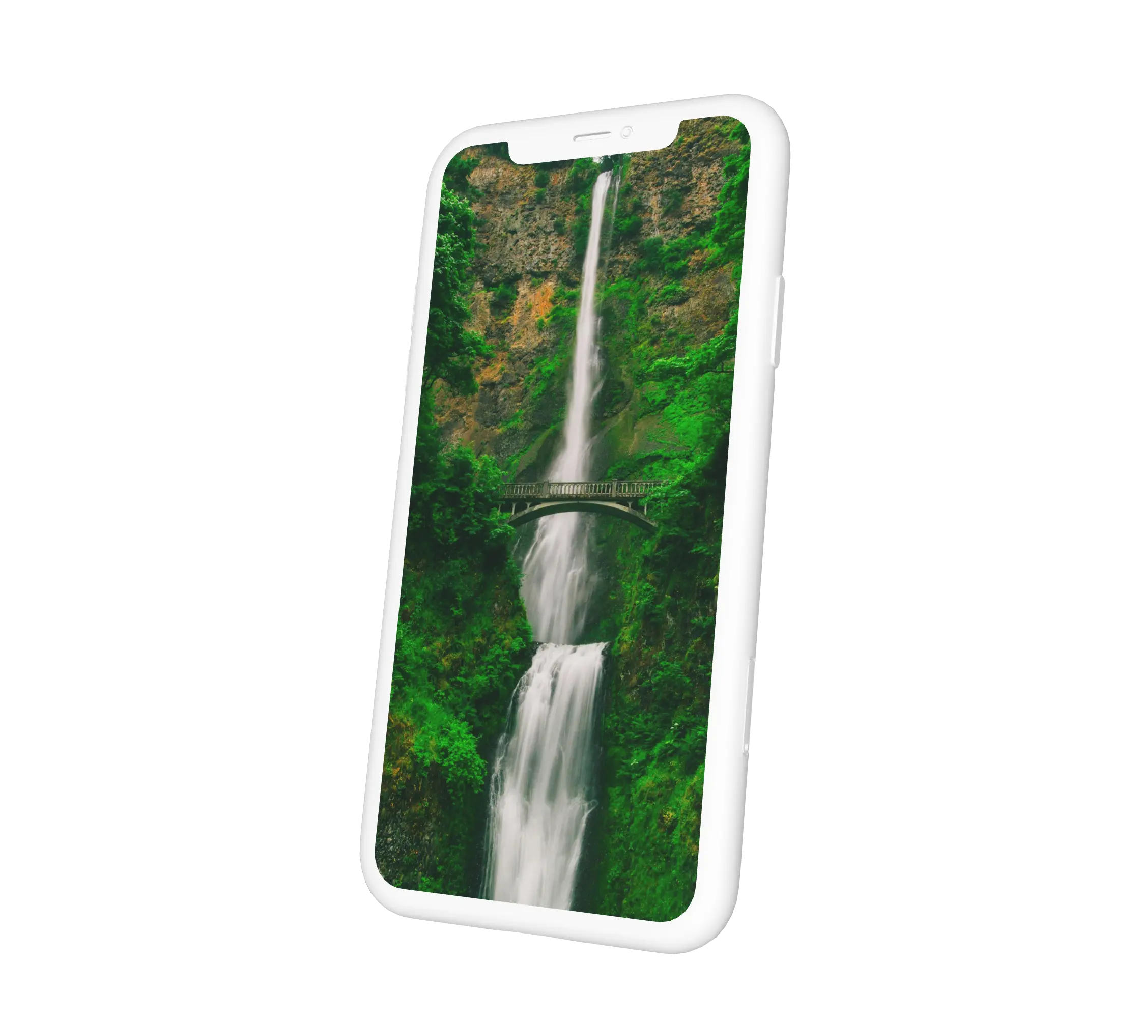 Vízesés az erdőben, egy kis híd mellett