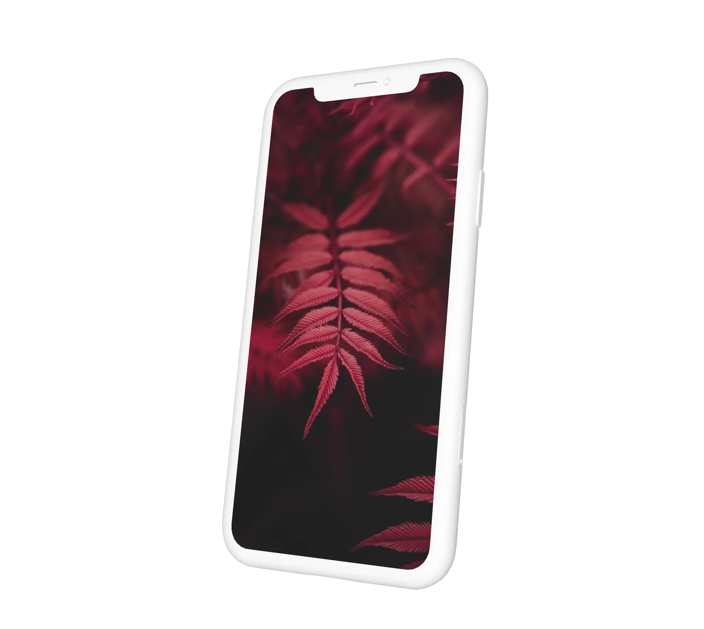 Vörösleveles növény háttérkép telefonra