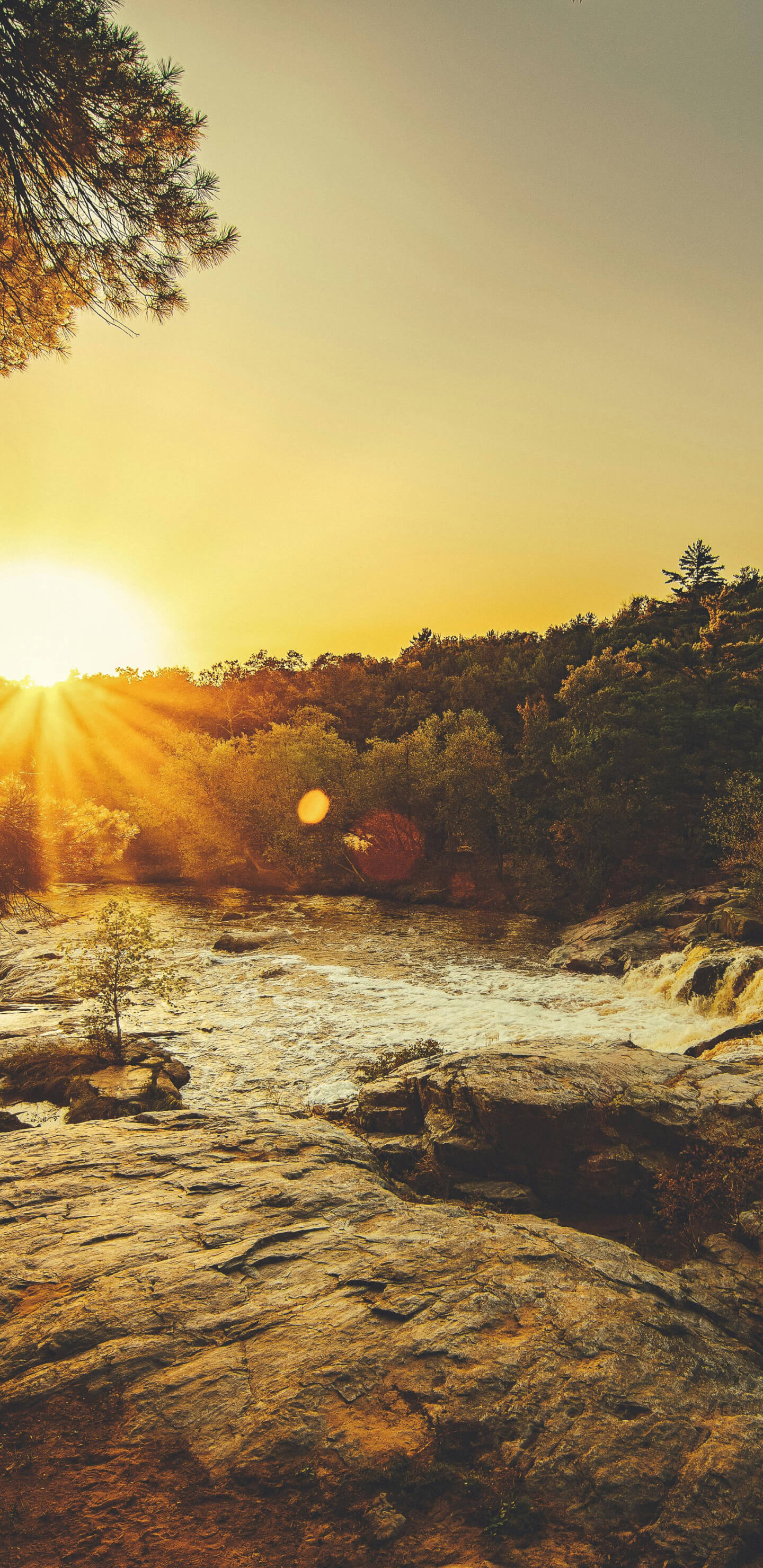 Naplemente vízparton háttérkép telefonra 1440x2960