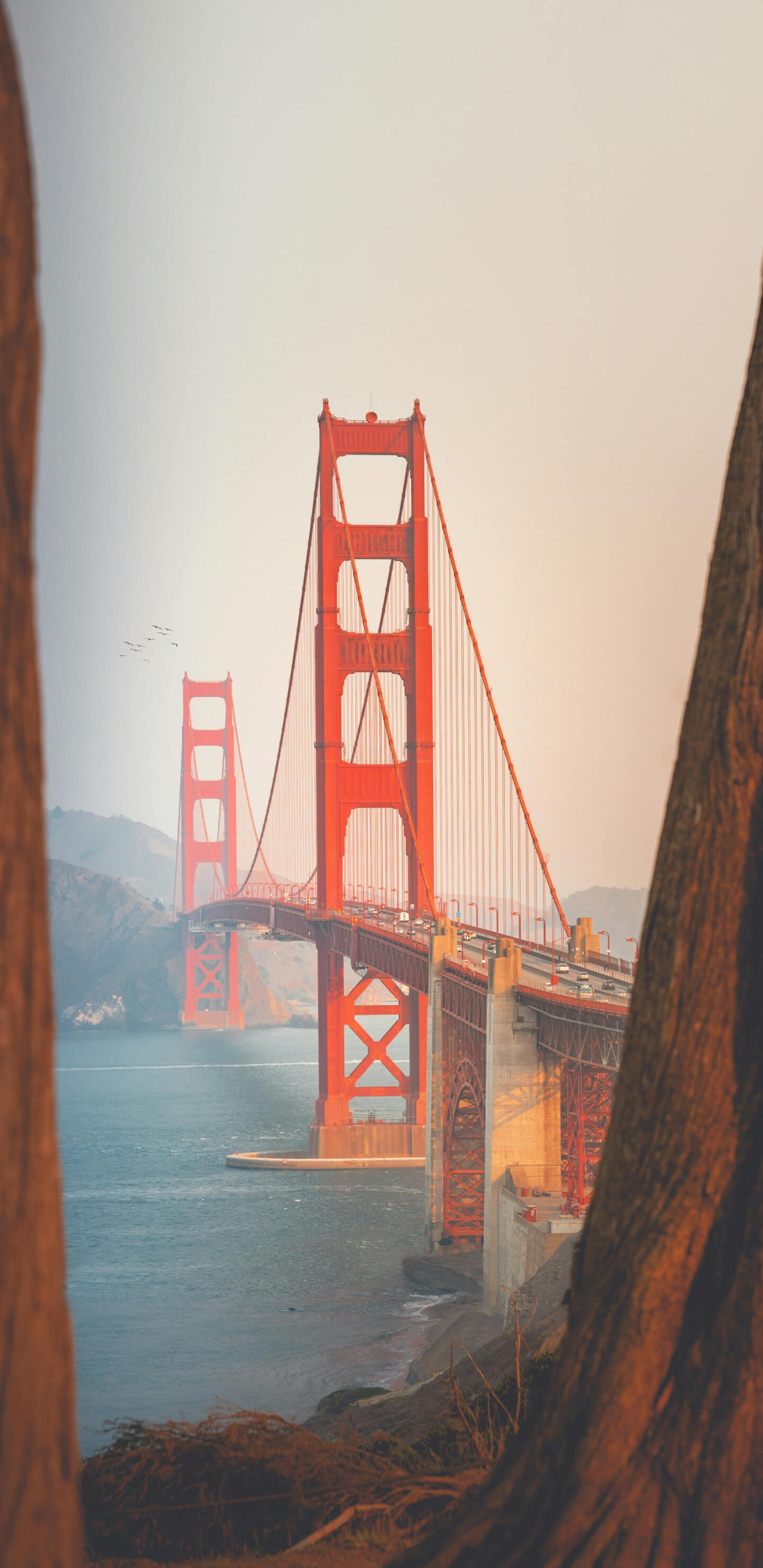 Piros híd háttérkép 1440x2960