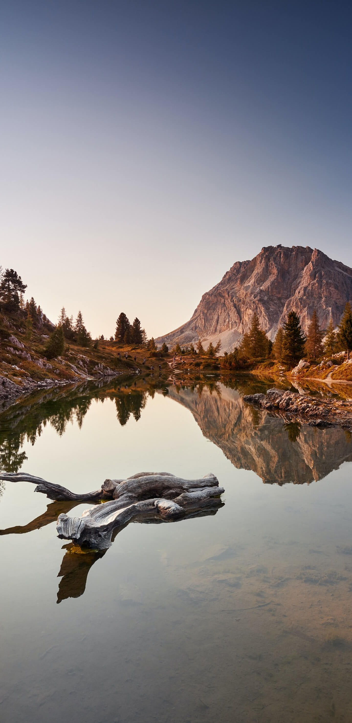 Víz hegy és fák mellett 1440x2960