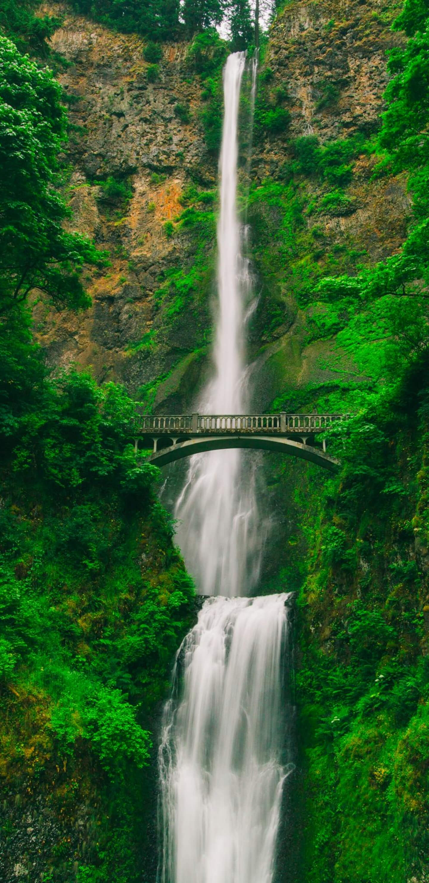 Vízesés az erdőben, egy kis híd mellett 1440x2960